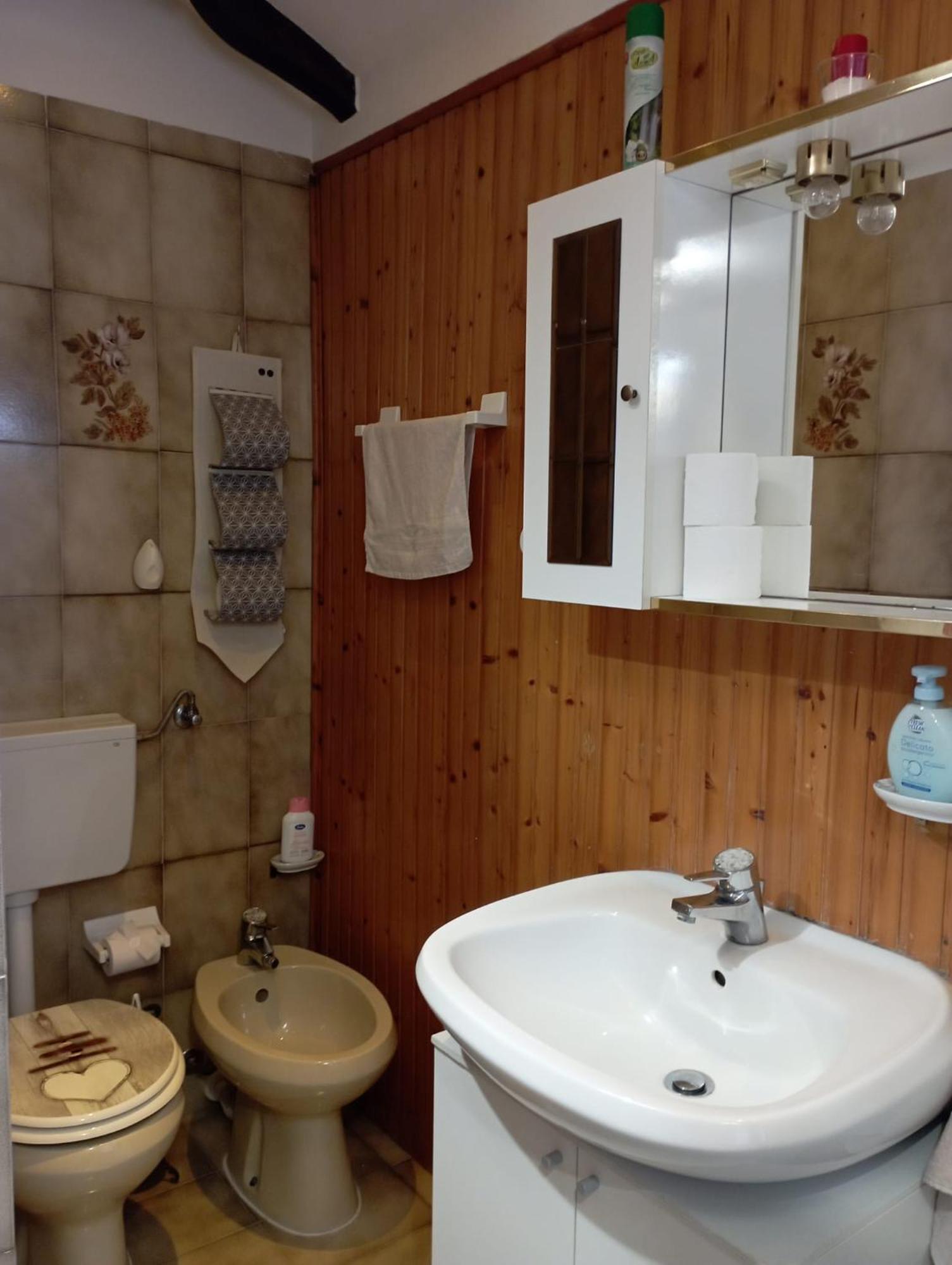 Casa Alice Apartment Cirie Bagian luar foto